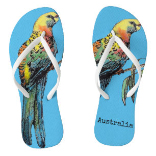 Red Rosella Australian Bird Birds Aquamarin Blue T Badesandalen