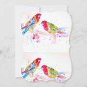 Red Rosella Parrot Boys Birthday Invitation Einladung (Rückseite)