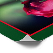 Red Rosenknospe Bending Mirror Abstrakt Poster (Ecke)