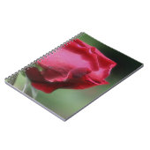 Red Rosenknospe Blume Nature Notizblock (Linke Seite)