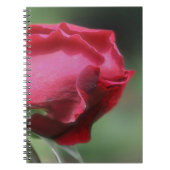 Red Rosenknospe Blume Nature Notizblock (Vorderseite)