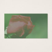 Red Rosenknospe Up Nah Blumen Business Card (Rückseite)