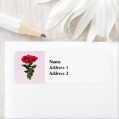 Red Roses and Leaves (Insitu)