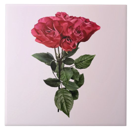 Red Roses and Leaves Fliese (Vorderseite)