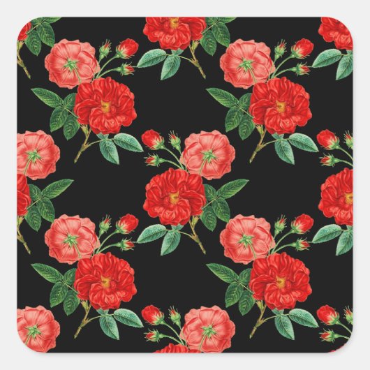 Red Roses, Black Background, Quadratischer Aufkleber (Vorderseite)