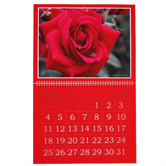 Red Roses Calendar (Type-A) Kalender (Jan 2026)
