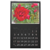 Red Roses Calendar (Type-B) Kalender (Jan 2027)