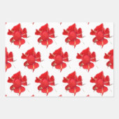 Red Roses, Geschenkpapier Set (Vorderseite 2)