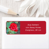 Red Rote Rose Address Label (Insitu)