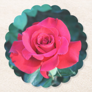 Red Rote Rose Paper Untersetzer