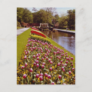 Red Roundhay Park, Leeds, England, Blume Postkarte