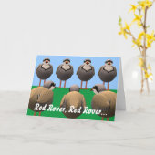 Red Rover Birthday Karte (Gelbe Blume)