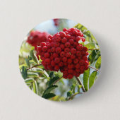 Red Rowan Berries Button (Vorderseite)