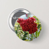 Red Rowan Berries Button (Vorne & Hinten)