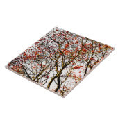 Red rowan fruit or ash berries fliese (Seite)