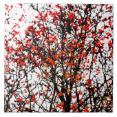 Red rowan fruit or ash berries fliese (Vorderseite)