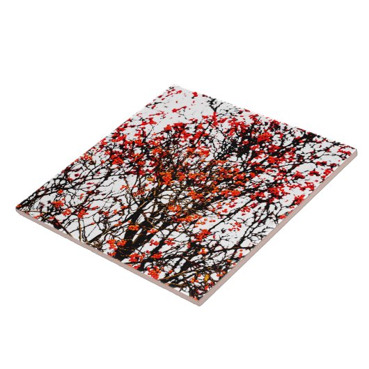 Red rowan fruit or ash berries fliese (Seite)