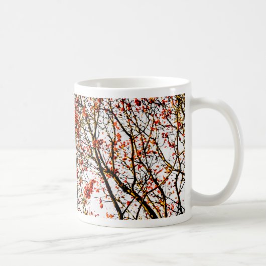 Red rowan fruit or ash berries kaffeetasse (Rechts)