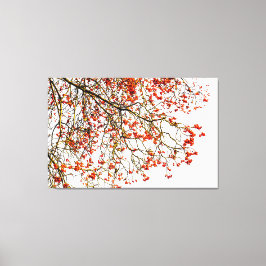 Red rowan fruit or ash berries leinwanddruck