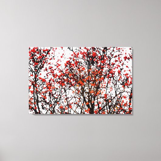 Red rowan fruit or ash berries leinwanddruck (Vorderseite)