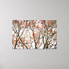 Red rowan fruit or ash berries leinwanddruck