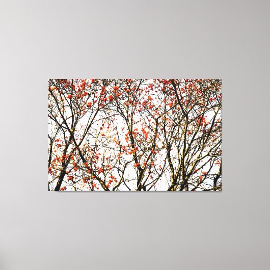 Red rowan fruit or ash berries leinwanddruck (Vorderseite)