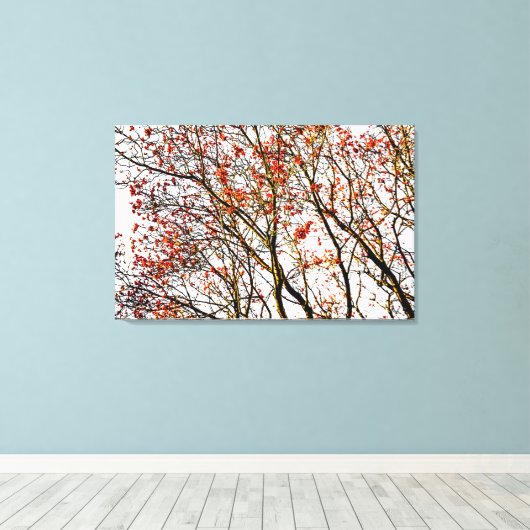 Red rowan fruit or ash berries leinwanddruck (Insitu (Holzboden))