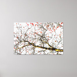 Red rowan fruit or ash berries leinwanddruck