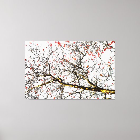 Red rowan fruit or ash berries leinwanddruck (Vorderseite)