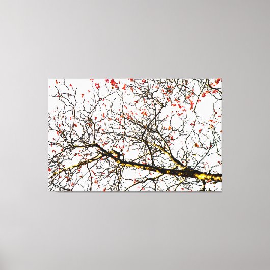 Red rowan fruit or ash berries leinwanddruck (Vorderseite)