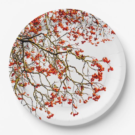 Red rowan fruit or ash berries pappteller (Vorderseite)