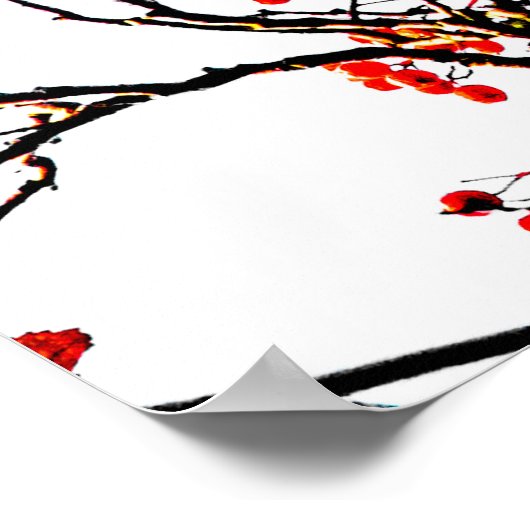 Red rowan fruit or ash berries poster (Ecke)