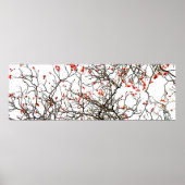 Red rowan fruit or ash berries poster (Vorne)