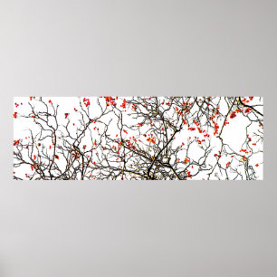 Red rowan fruit or ash berries poster
