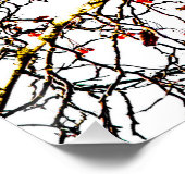 Red rowan fruit or ash berries poster (Ecke)