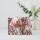 Red rowan fruit or ash berries postkarte (Stehend Vorderseite)