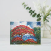 Red Royal Poinciana Tree and Sailboat Postkarte (Stehend Vorderseite)