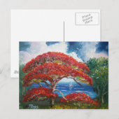 Red Royal Poinciana Tree and Sailboat Postkarte (Vorne/Hinten)