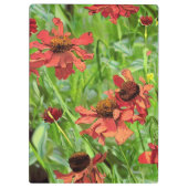 RED RUDBECKIA-BLUME KLEMMBRETT (Rückseite)