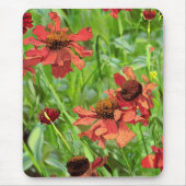 RED RUDBECKIA-BLUME MOUSEPAD (Vorne)