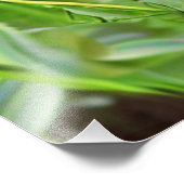 RED RUDBECKIA FLOWERS FOTODRUCK (Ecke)