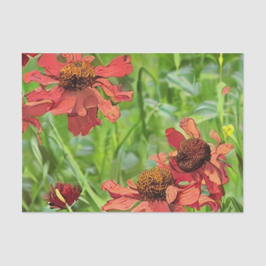 RED RUDBECKIA FLOWERS SEIDENPAPIER (Vorderseite)