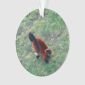 Red Ruffed Lemur #1-1 Ornament (Vorderseite)