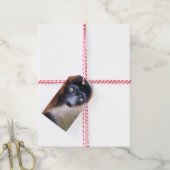 Red Ruffed Lemur Geschenkanhänger (Mit Garn)