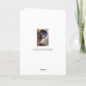 Red Ruffed Lemur Grußkarte Karte (Rückseite)