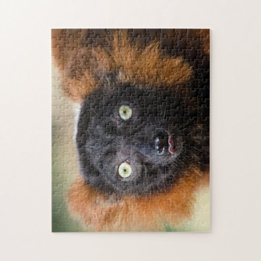 Red Ruffed Lemur, Jigsaw Puzzle (Vertikal)