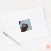 Red Ruffed Lemur Stickers (Umschlag)