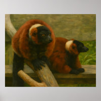 Red Ruffed Lemurs in Woodland Light