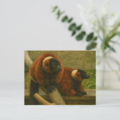 Red Ruffed Lemurs in Woodland Light Postkarte (Stehend Vorderseite)