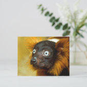 Red Ruffled Lemur Postcard Postkarte (Stehend Vorderseite)
